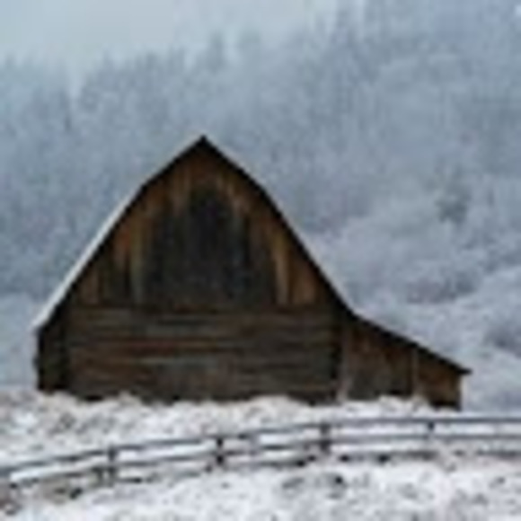 Meet your Posher, Julie - Picture 1 of 1